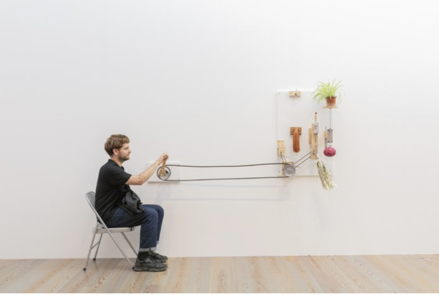 Mika Rottenberg_cabbage & ponytail